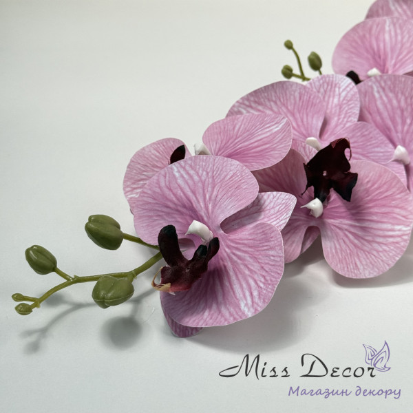 Гілка орхідеі подвійноі 90 см(vip2343/103)