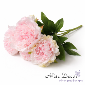 Букет півонії ніжно рожевий 50 см (vip490)